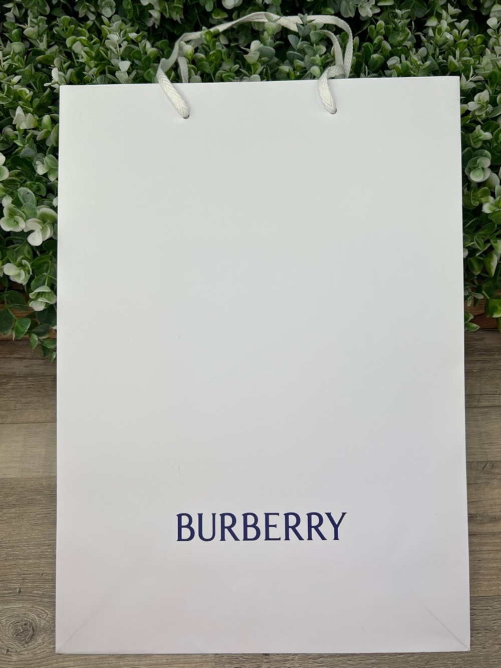 Burberry Authentic Classic Gift Bag / Shopping Bag - Picture 3 of 12
